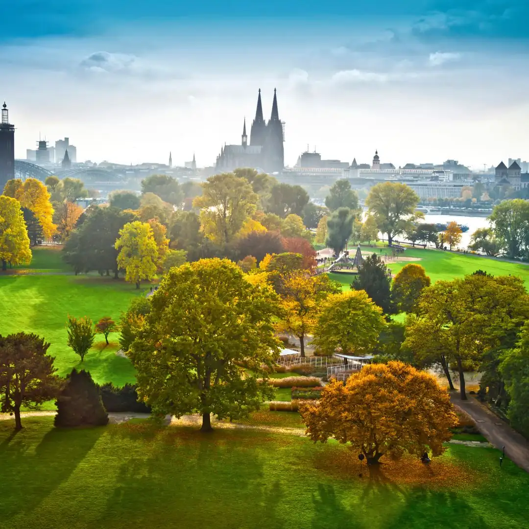 Herbstliche Landschaft mit der Skyline von Köln und bunten Bäumen im Vordergrund.