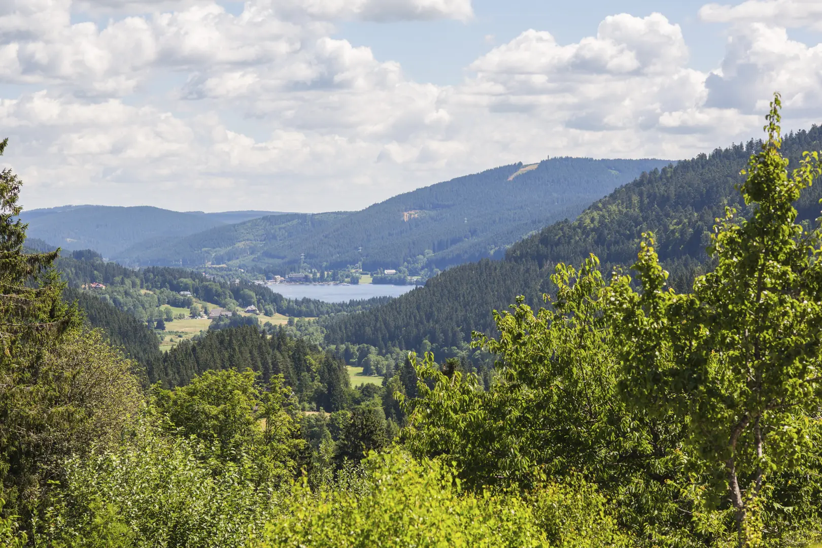 Panoramablick über den Titisee