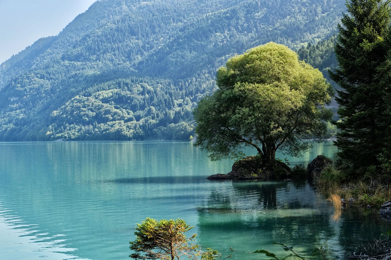 Ein einzelner Baum auf einer kleinen Insel in einem ruhigen Bergsee, umgeben von bewaldeten Bergen