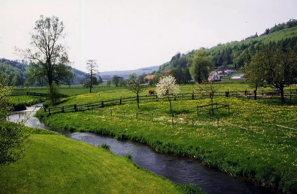 Orpetal Bach fließt durch die Landidylle in Diemelstadt