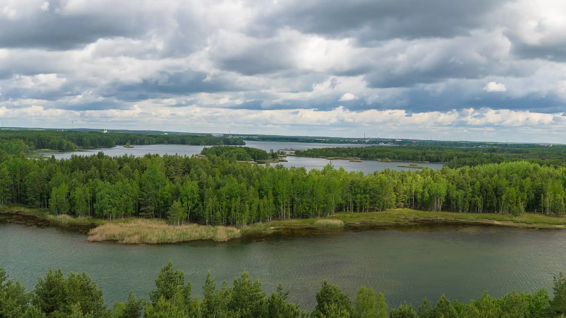 Panoramablick auf einen See umgeben von Wäldern
