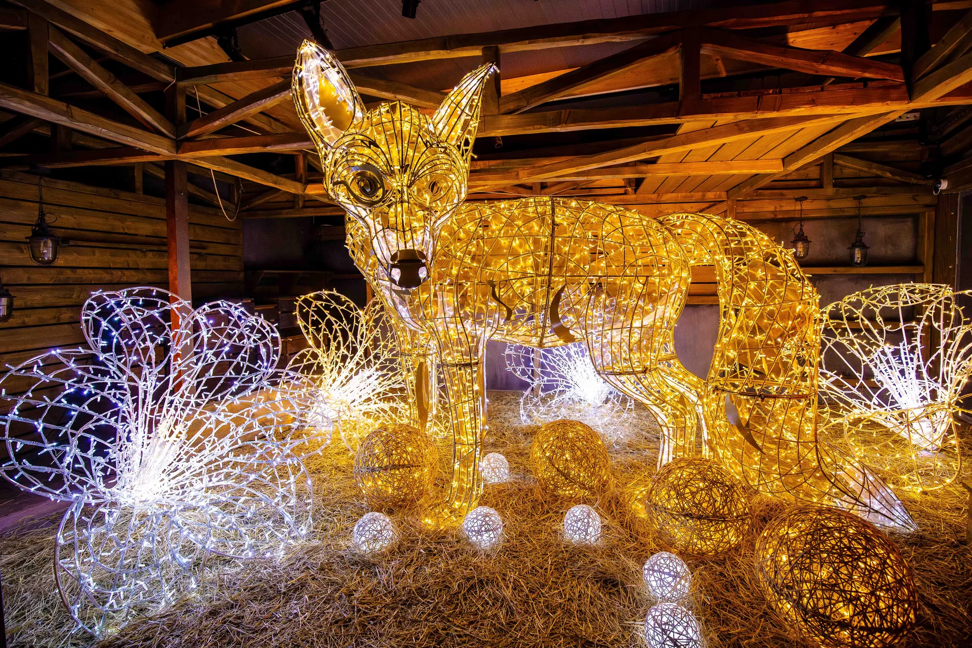Strahlender Fuchs im Lumagica München Lichterpark