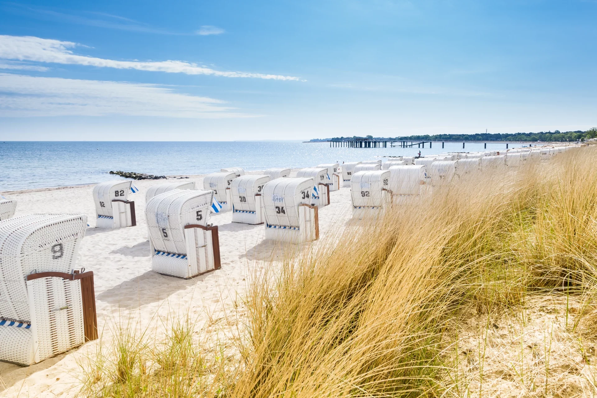 Weiße Strandkörbe auf Sylt eingerahmt von Nordsee und leuchtendem Dünengras