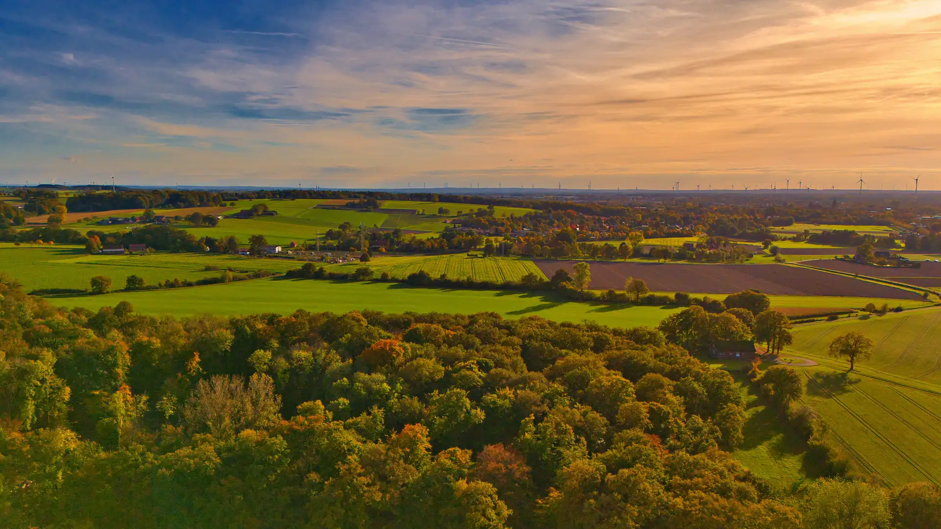 Herbstliche Landschaft im Münsterland mit buntem Laub, Feldern und Windrädern am Horizont