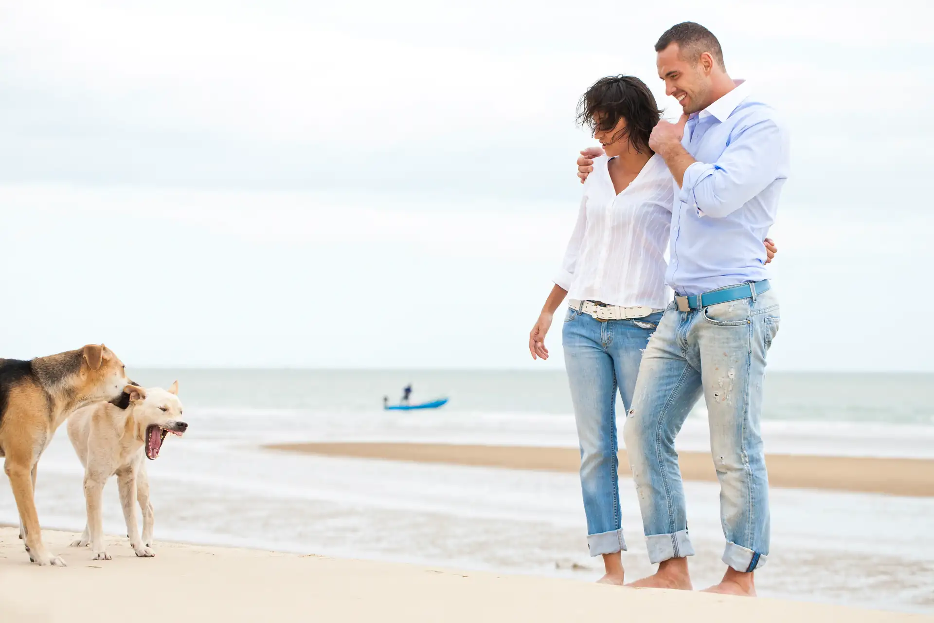 Paar mit hochgekrempelten Jeans und weißen Oberteilen geht barfuß am Strand, zwei Hunde stehen in der Nähe