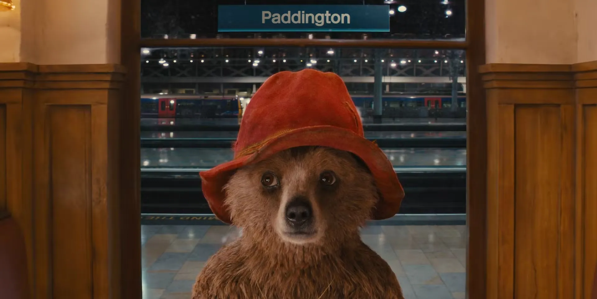 Paddington Bear, der puschelige Bär schaut fragend in einen Raum