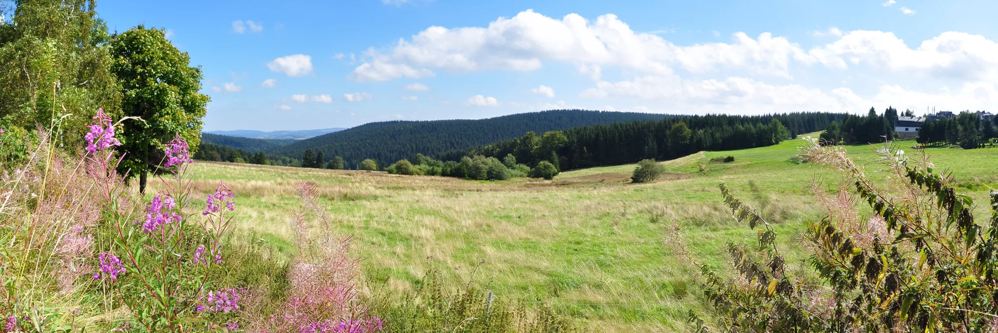 Panoramablick vom Thüringer Wald