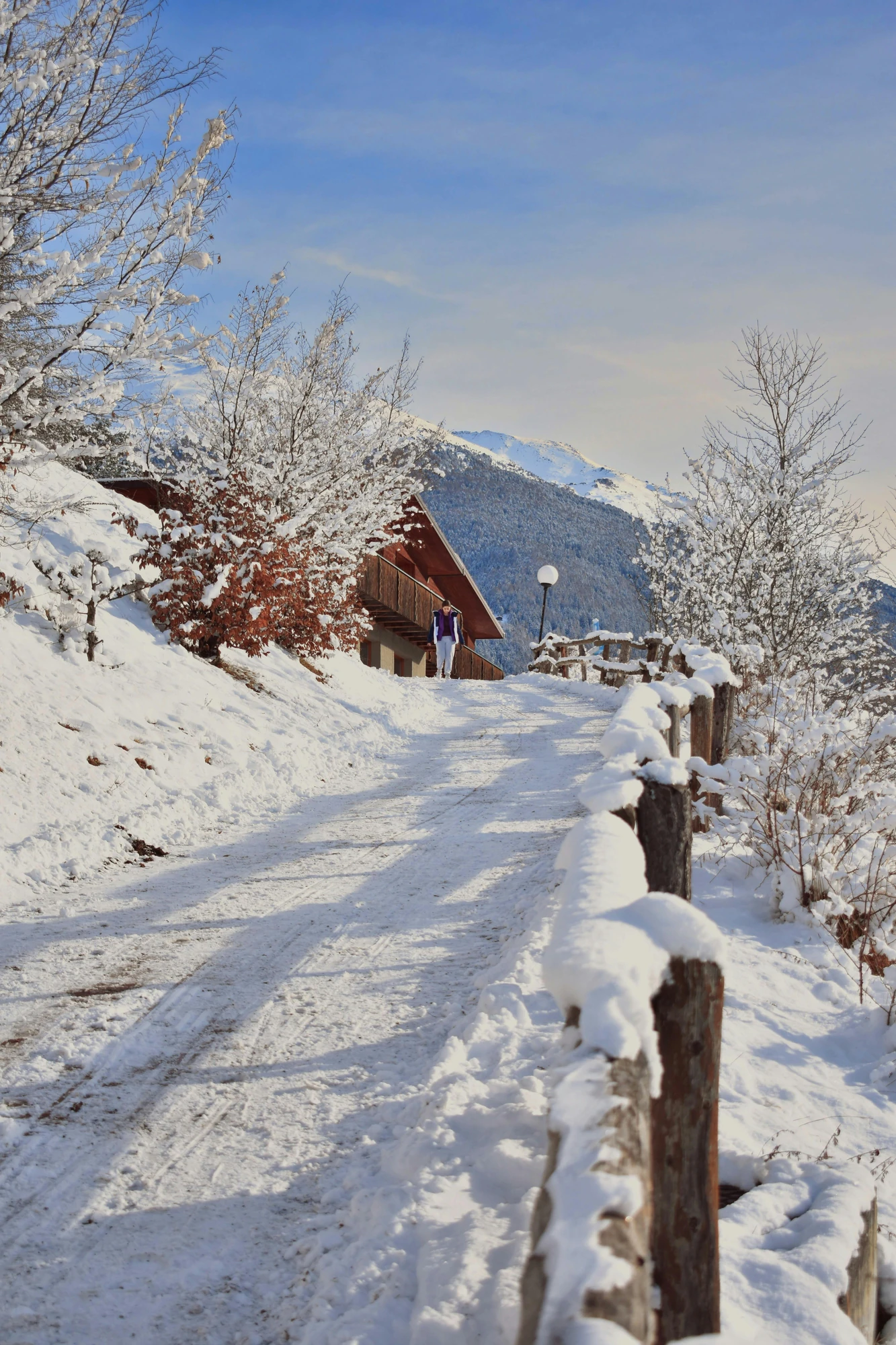 Das Bild zeigt einen verschneiten Wanderweg im Allgäu, der von einem Holzgeländer gesäumt ist. Im Hintergrund sind schneebedeckte Berge zu sehen, während die Bäume am Wegesrand in Winterpracht erstrahlen. Eine Person ist auf dem Weg unterwegs, was dem Bild eine friedliche und entspannte Atmosphäre verleiht.