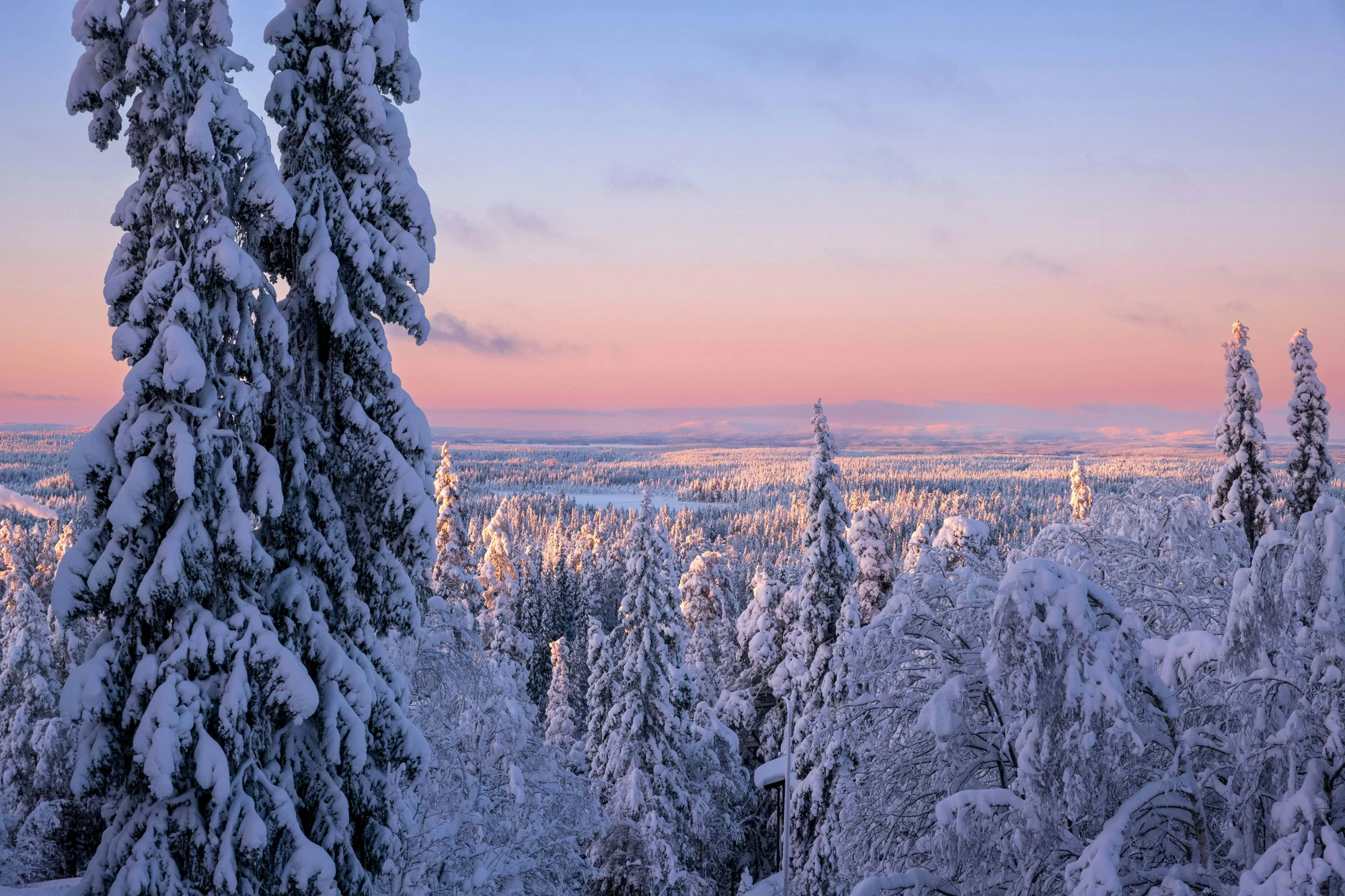 Das Bild zeigt eine verschneite Winterlandschaft im Allgäu, mit schneebedeckten Bäumen und einer weiten, unberührten Fläche. Der sanfte Lichtschein am Horizont schafft eine ruhige und friedliche Atmosphäre, die den Charme der winterlichen Bergwelt widerspiegelt.