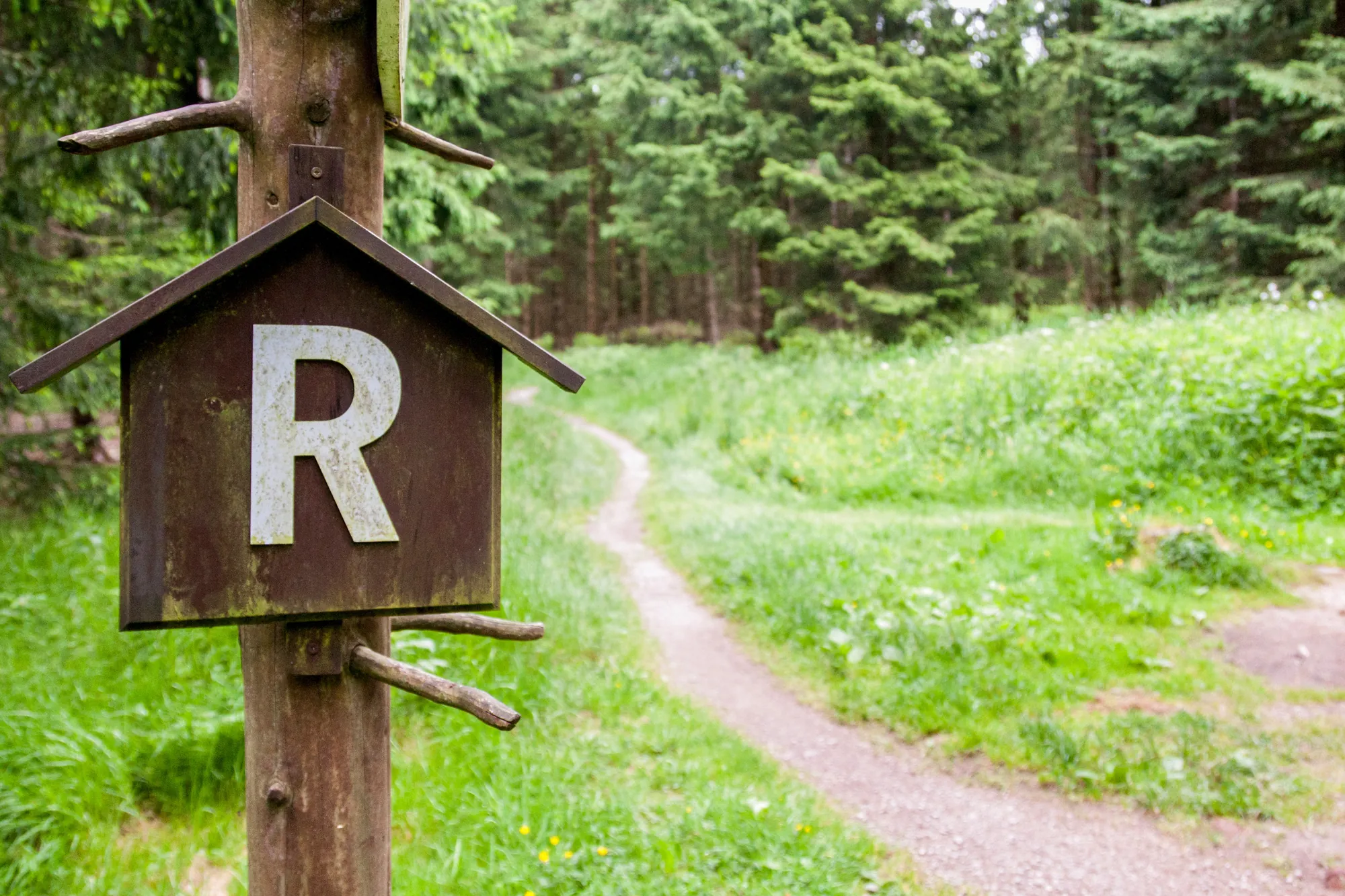 Wanderweg Rennsteig im Thüringer Wald