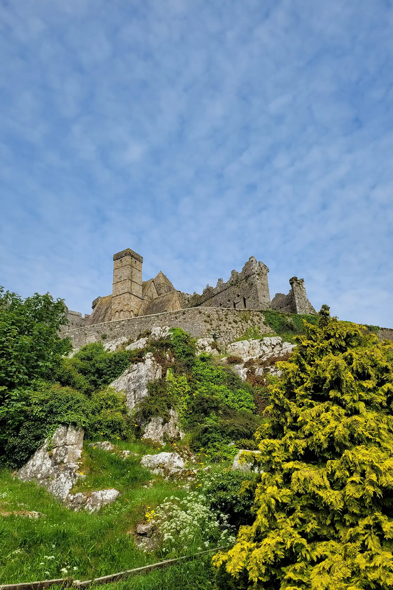 Blick von unten auf Rock of Cashel in Irland