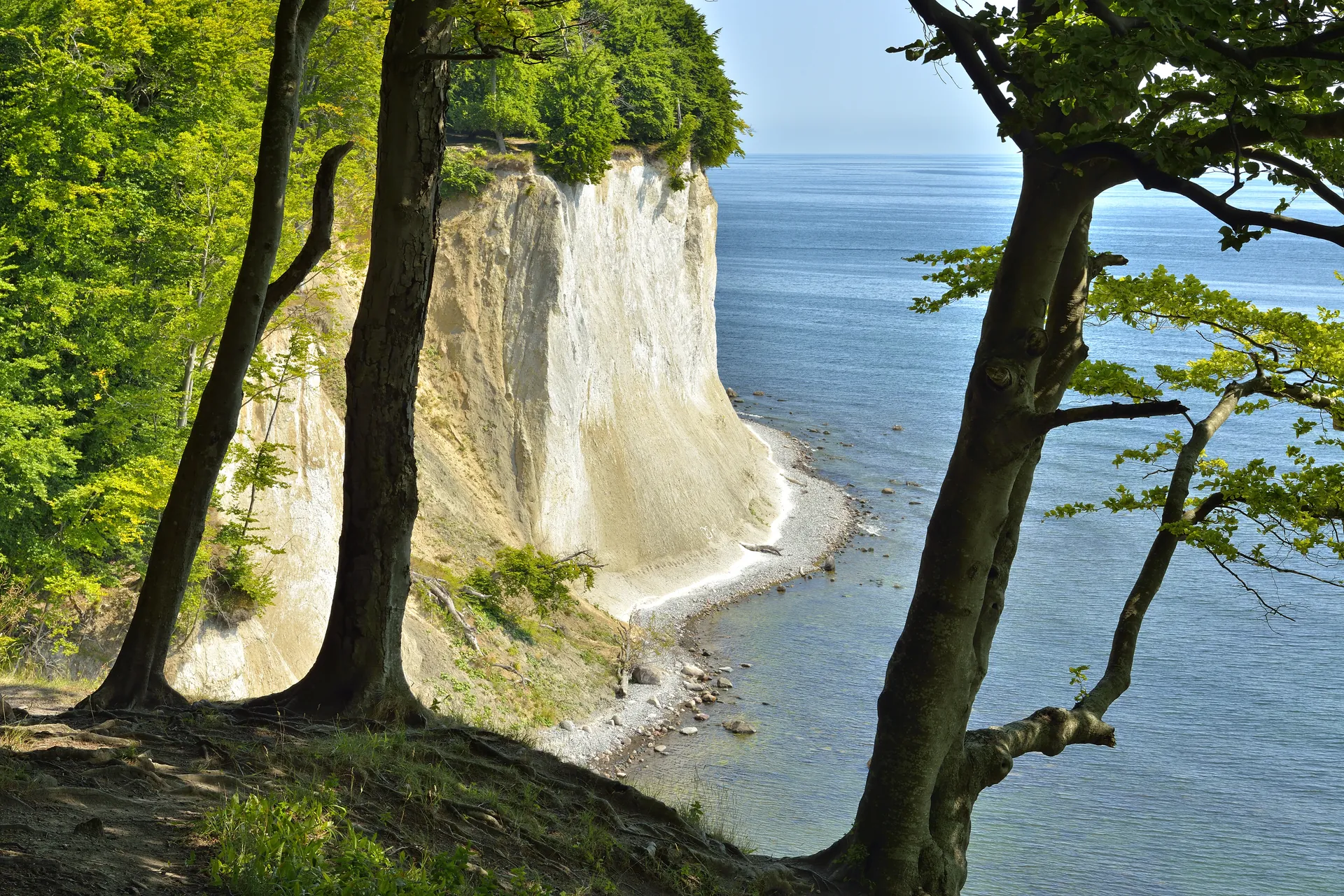 Küste im Nationalpark Jasmund auf Rügen