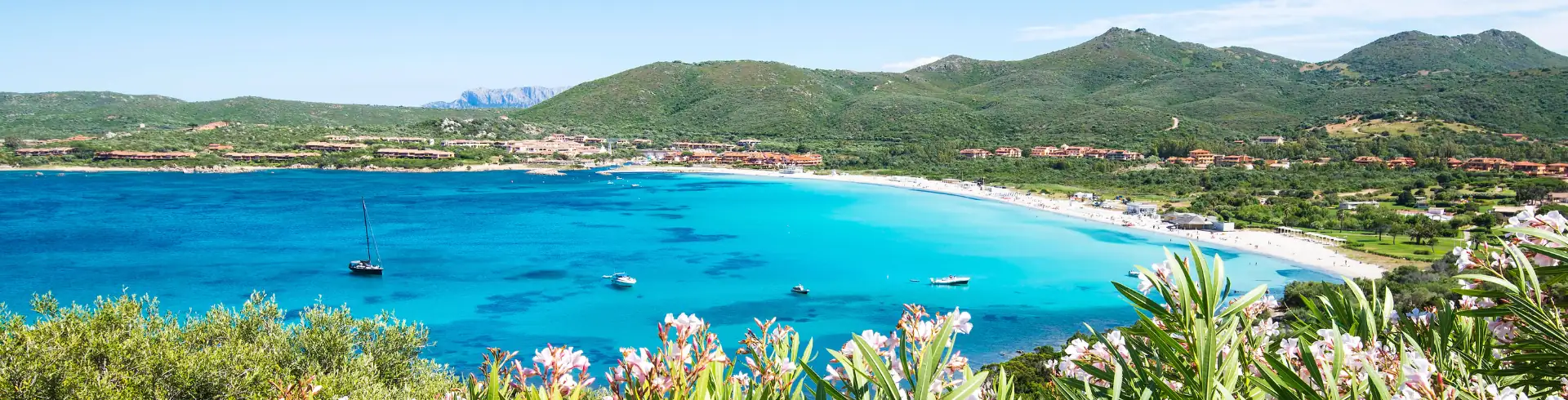 Sardinien, Costa Smeralda, Golf von Marinella: Bucht mit klarem blauem Wasser, umgeben von grünen Hügeln und blühenden Pflanzen im Vordergrund.