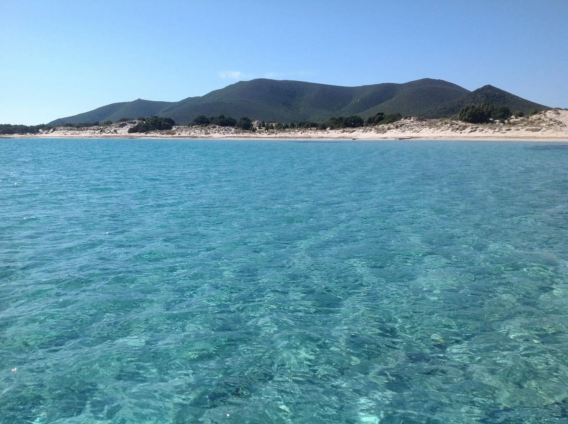 Klares türkisfarbenes Meer vor einem Sandstrand mit bewaldeten Hügeln im Hintergrund unter blauem Himmel im Süden Sardiniens
