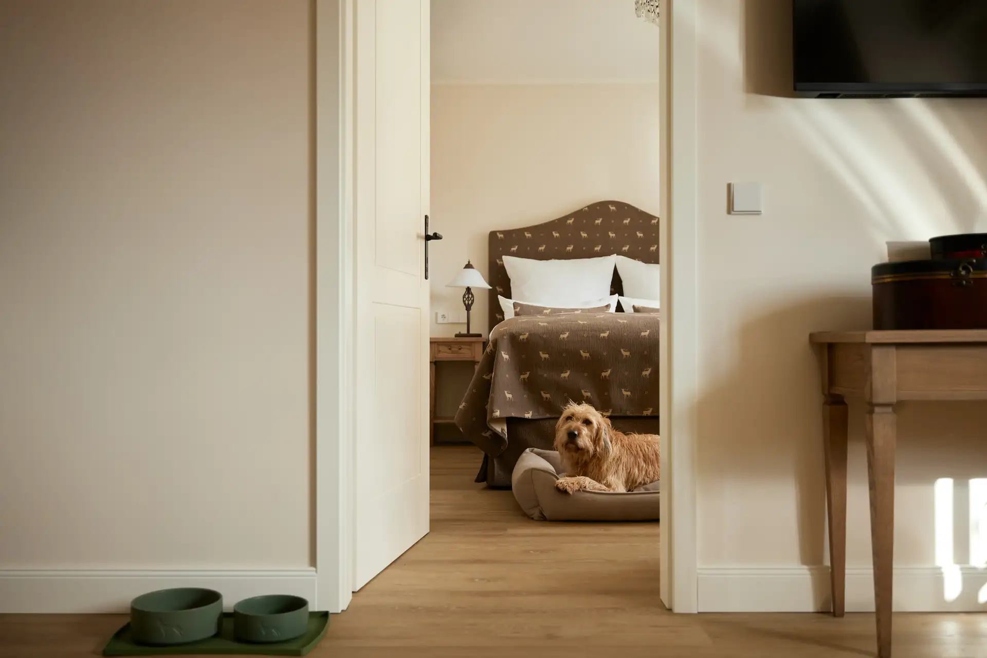 Blick durch eine offene Tür in ein Hotelzimmer mit einem Bett, einem Nachttisch mit Lampe und einem Hund, der auf einem Hundebett liegt, im Schlosshotel Neustrelitz