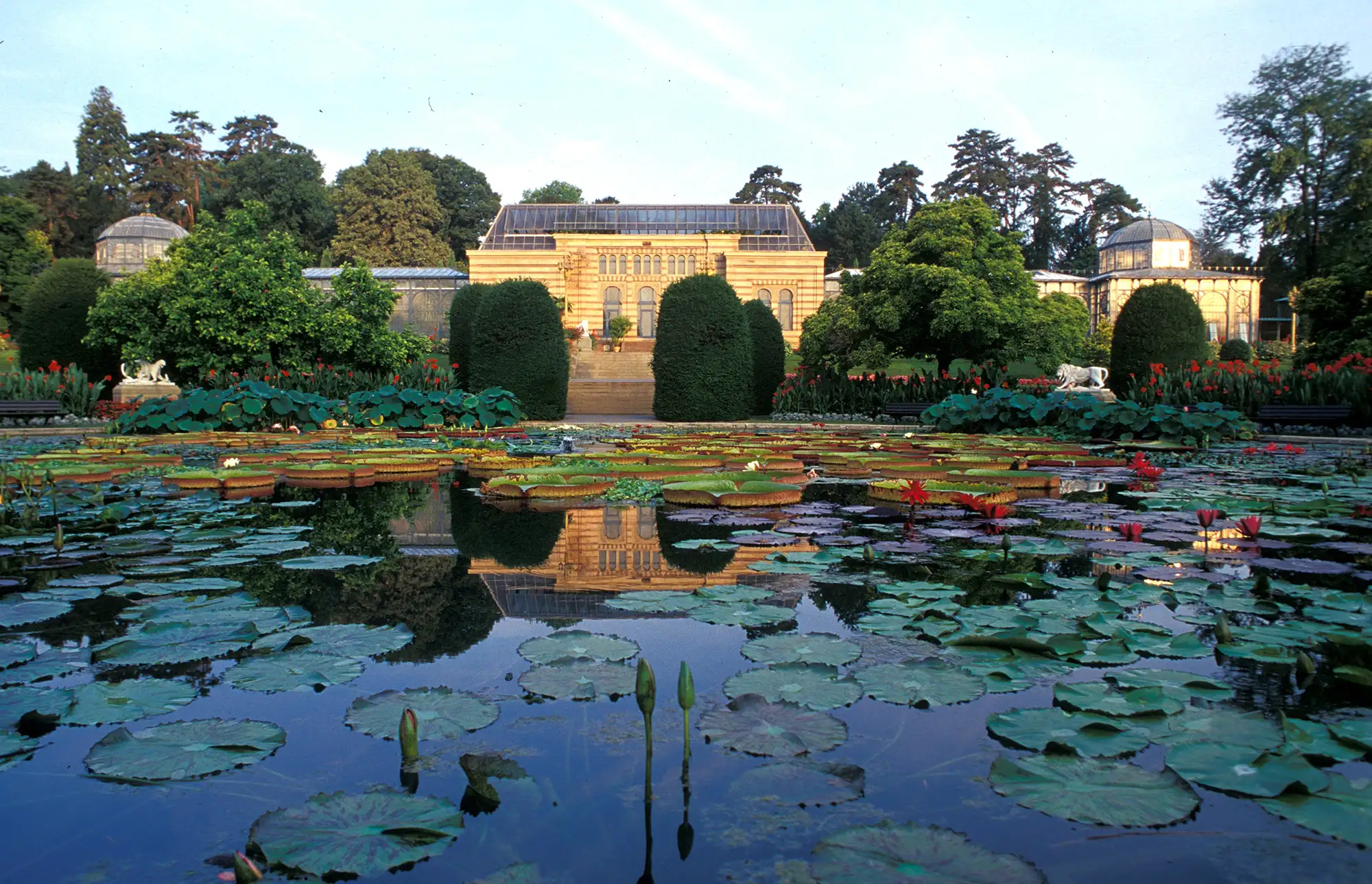 Ein schöner Garten mit Seerosen und einem historischen Gewächshaus im Hintergrund.