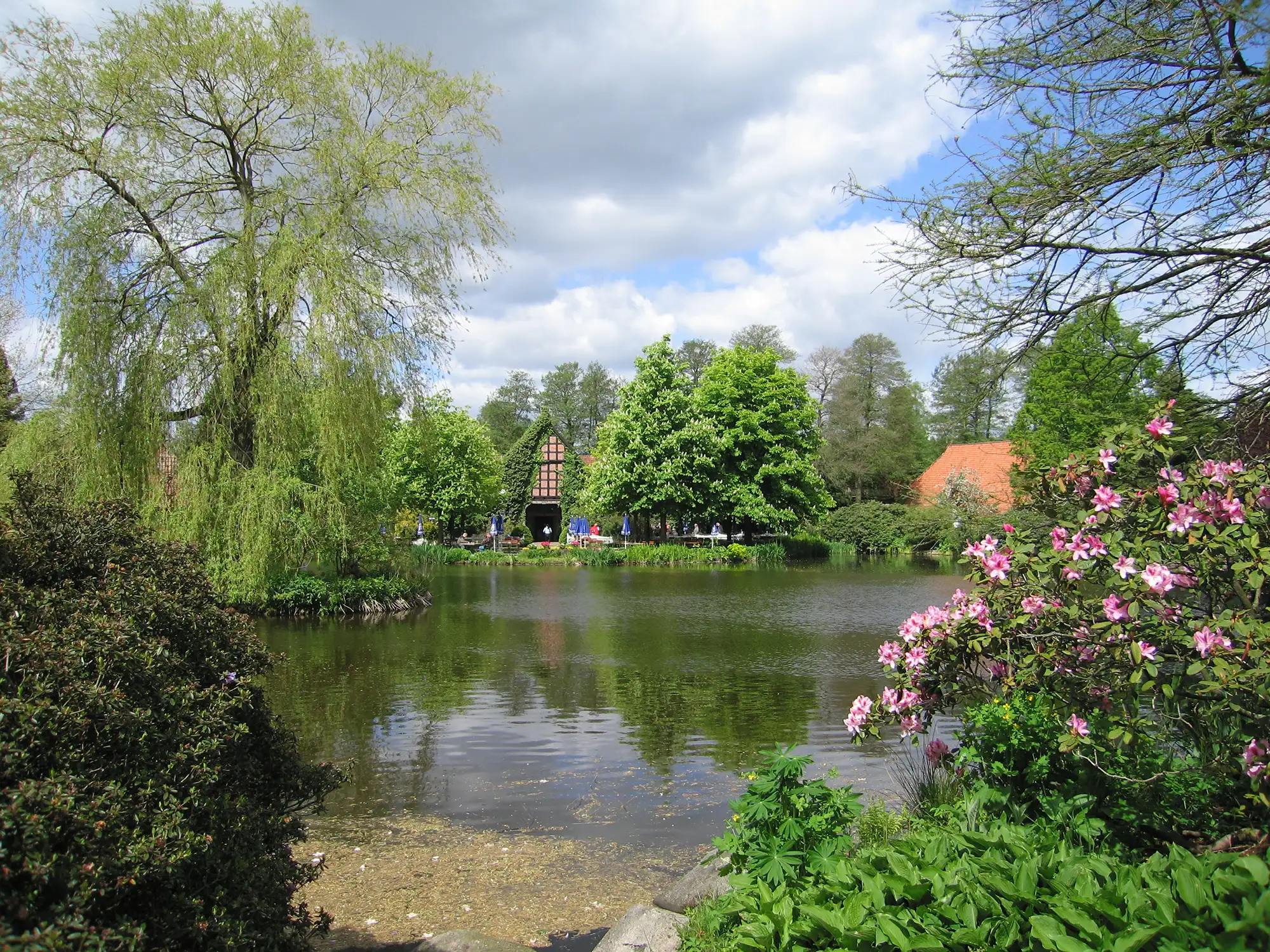 Ein ruhiger See umgeben von Bäumen und Blumen im Park.