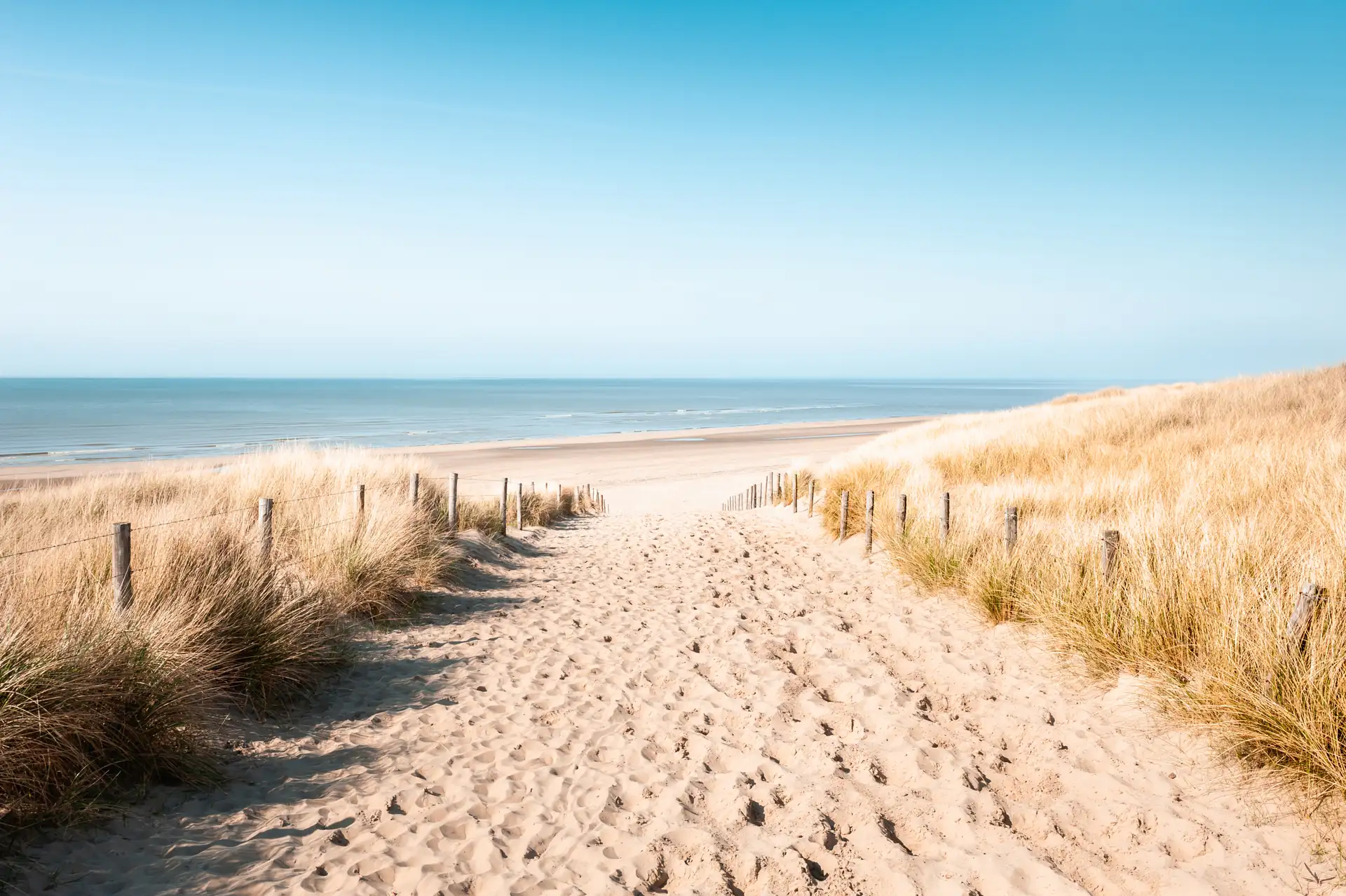 Sandweg in Noordwijk zwischen Dünen mit trockenem Strandgras führt zum ruhigen Meer unter klarem Himmel.