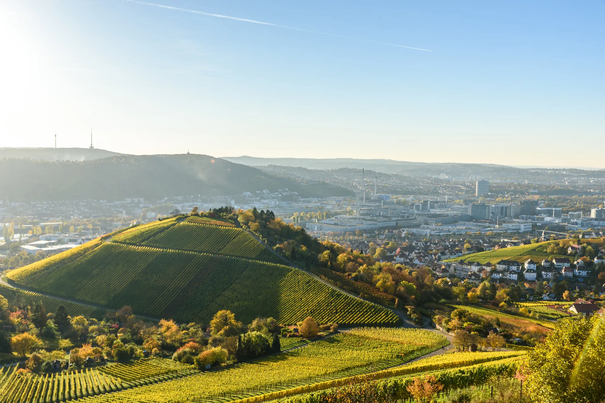 Weinberge Stuttgart