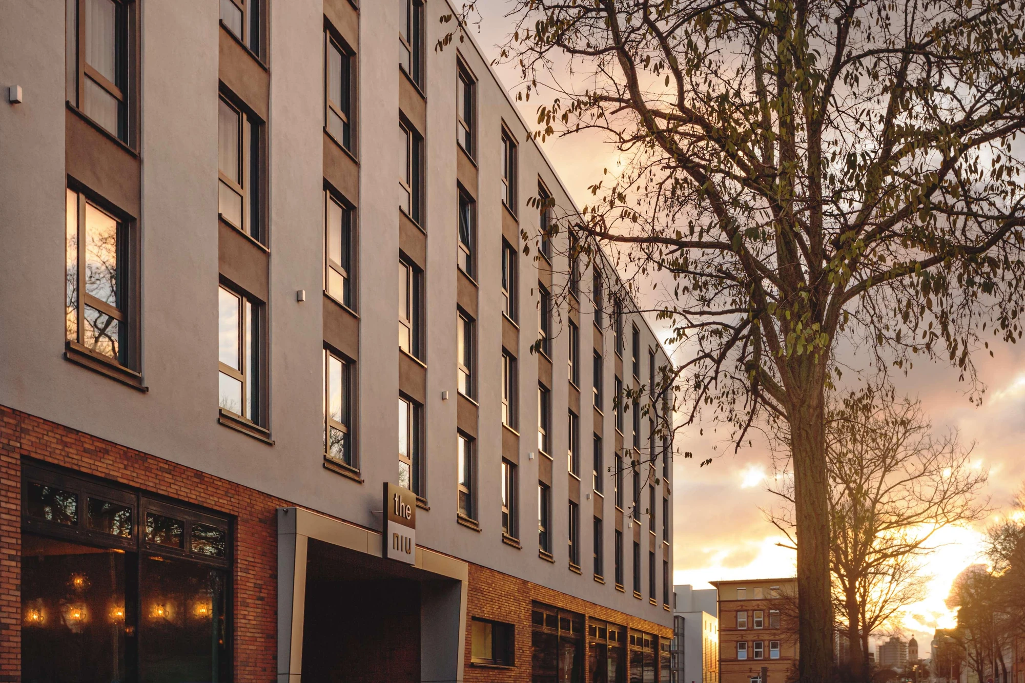 the niu-mood mainz.opti