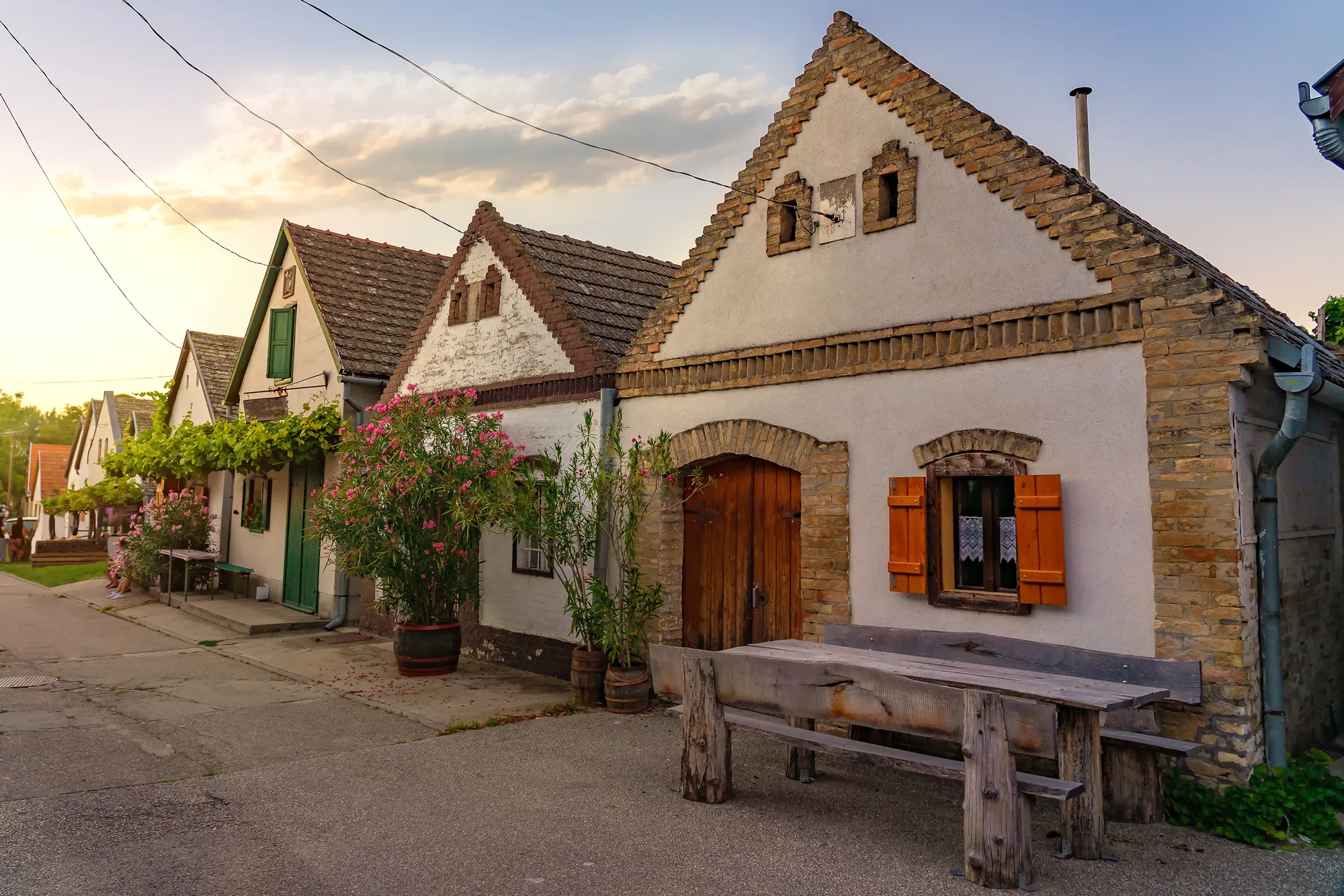 Häuser im Dorf Hajós, eine Reihe traditioneller ungarischer Weinkellerhäuser in einem idyllischen Dorf, umgeben von blühenden Pflanzen im warmen Licht der Abendsonne.