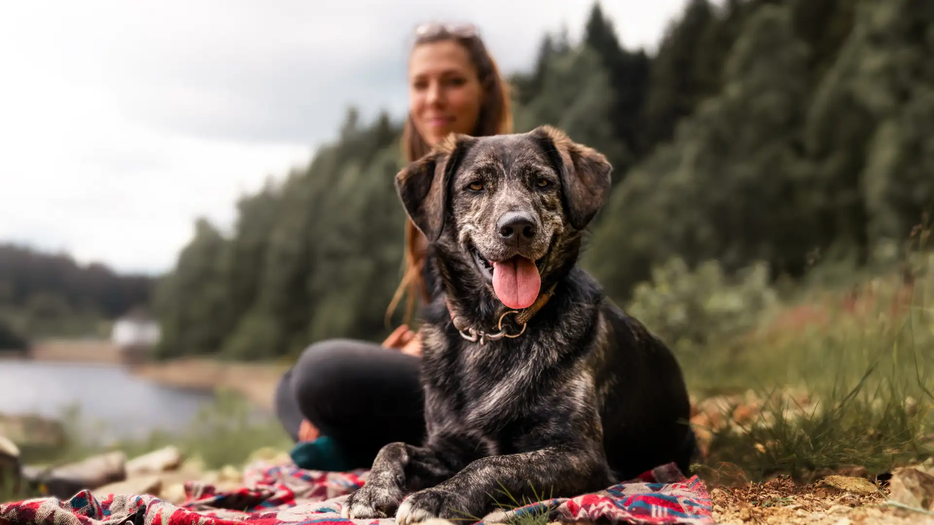 Liegender Hund mit herausgestreckter Zunge auf einer Decke am Ufer, im Hintergrund sitzende Frau und Wald