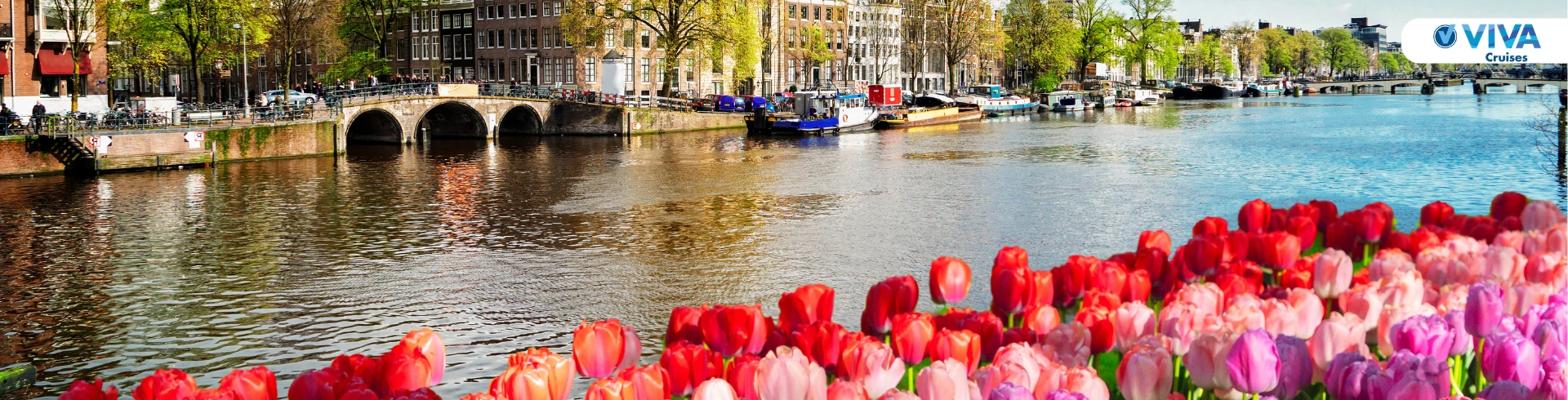 Blick über einen Kanal mit Brücke und Häusern im Hintergrund sowie einem Vordergrund mit bunten Tulpen