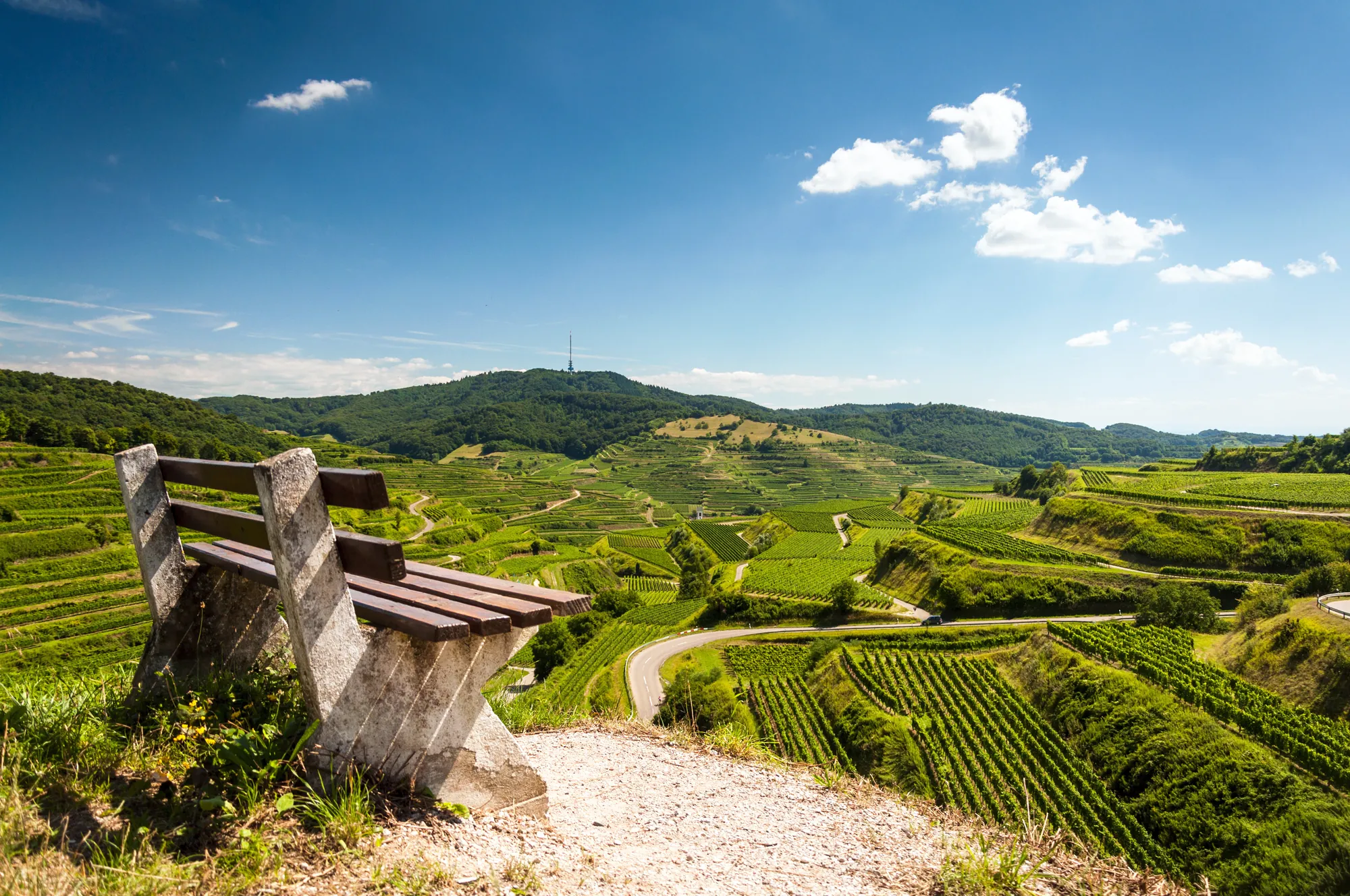 Kaiserstuhl, Weinberge in Baden, nahe Freiburg im Breisgau