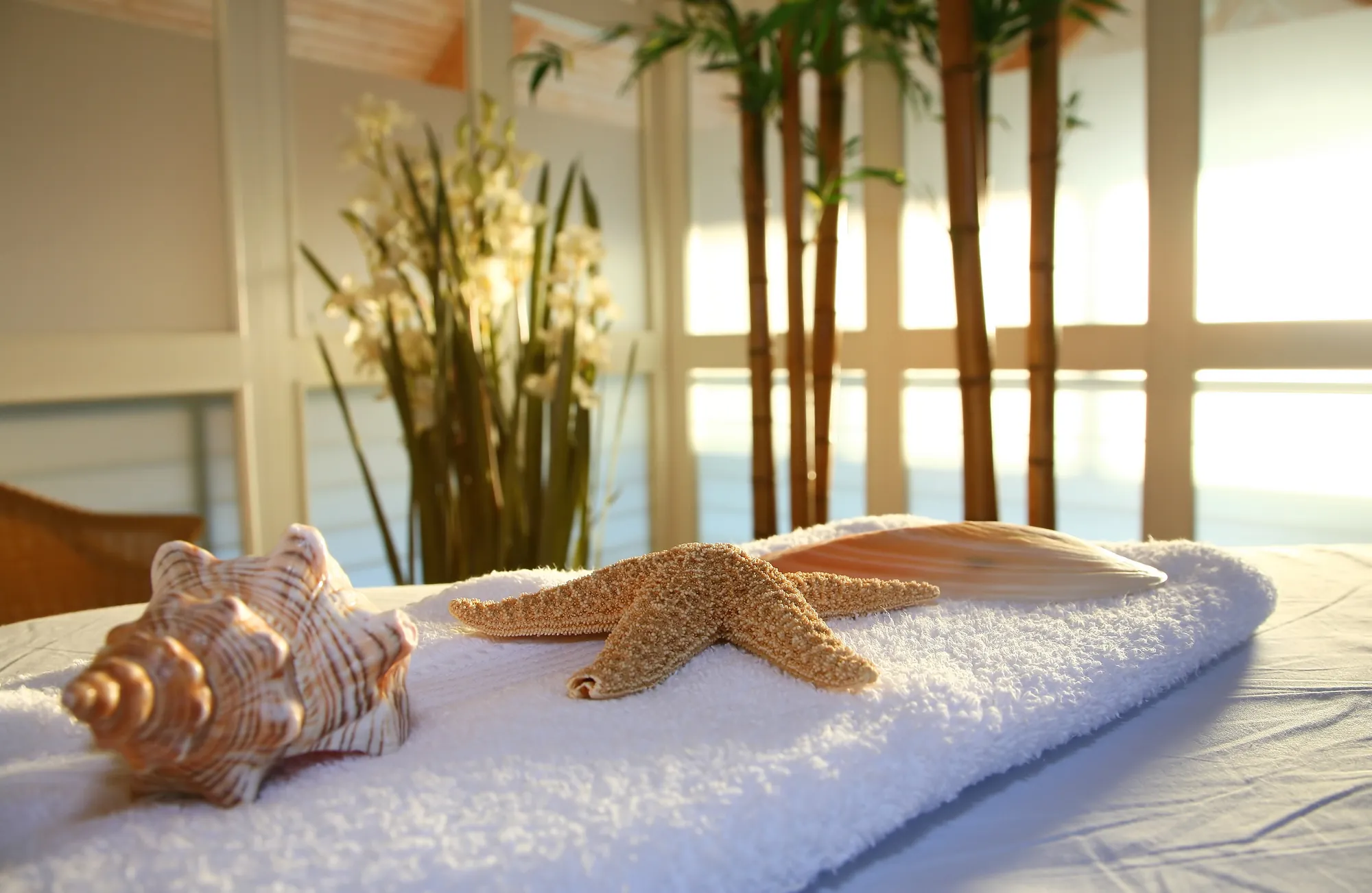 Wellnesshotel Rügen im Aedenlife Hotel & Resort - Muschel und Stern auf weißem Handtuch