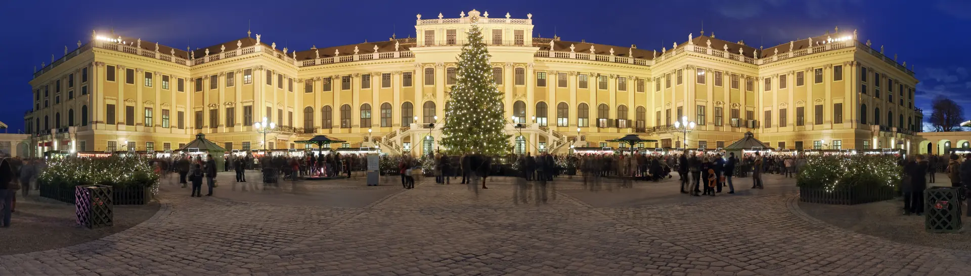 Schloss Schönbrunn beleuchtet im Winter mit Weihnachtsbaum